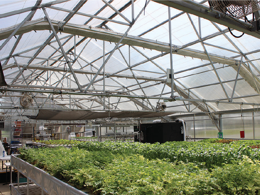 Bella Vita Farm Greenhouse