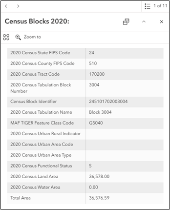 A pop-up for a Census block feature.
