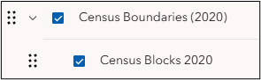 The Census Blocks 2020 layer within the Census Boundaries (2020) layer group as displayed in the layer list tool.
